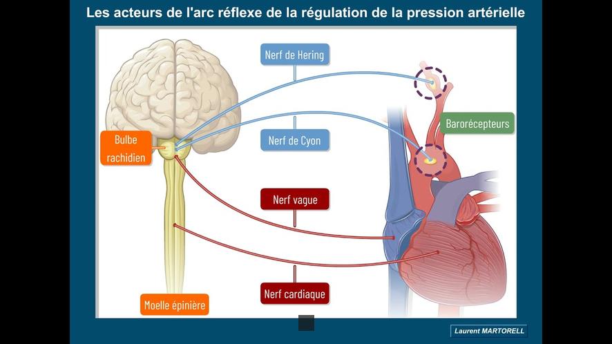 Électrovanne : Le Maestro de la Régulation de Pression d'Huile dans les Moteurs - Découvrez son Rôle Essentiel !