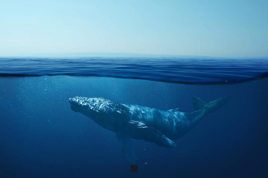 Secrets de Longévité des Pompes à Eau : Révélations Captivantes!