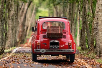 Top 10 Vente de pièces auto à Ajaccio, Corse-du-Sud près de moi